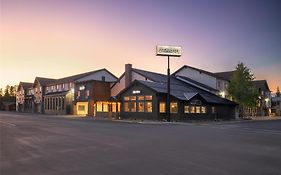 Starlite Yellowstone, Tapestry Collection By Hilton